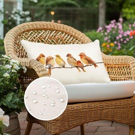 FKZNPJ Outdoor Pillows Waterproof 12x20 Inch,Birds Outdoor Pillow Covers,Lumbar Spring Summer Pillow Cases for Patio Furniture (O-253) (20" x 12" (Pack of 1))