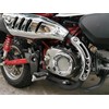 Compatible with Monkey 125 Z125 (2019-2024) Chrome Protective Muffler Pipe