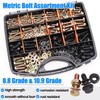 Nuts and Bolts Assortment Kit, Flange Bolt Assortment (12-30mm)