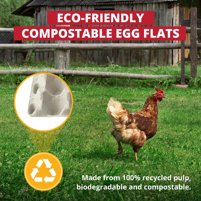 Stromberg's 30-Count Paper Egg Filler Flats, Biodegradable Bulk Egg Trays