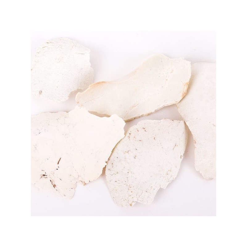 Dongui Hanjae 동의한재 특품 국산 백복령 300g x 2개 Korean
