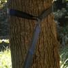 3 Meters Long Pilates Belt Outdoor Hammock Straps Tree Tie