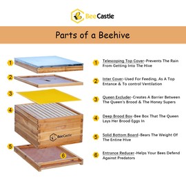 10-Frame Bee Hives and Supplies Starter Kit,Beehive Kit Dipped in 100% Beeswax,Bee Keeping Supplies-All Beginners Kit Includes Beekeeping Supplies Tool Set and Bee Suit.