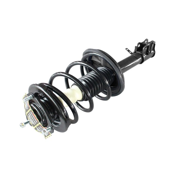 GSP 869019 Loaded Strut and Coil Spring Assembly for Select
