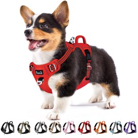 Eyein Dog Harness Large Dog, Anti Pull Adjustable Heavy Duty Pet Vest Harness with 2 Clips, Easy Control Escape Proof Puppy Harness with Soft Padded Handle Reflective for Outdoor Training Walking, L