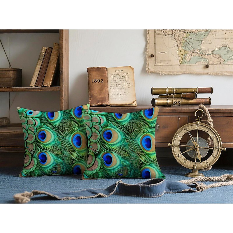 Doobicy 18X18 Inch Peacock Feather Throw Pillow Covers Set of
