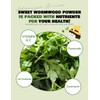 NICE WITCH'S Korean 100% Pure Sweet Wormwood Powder 170g /