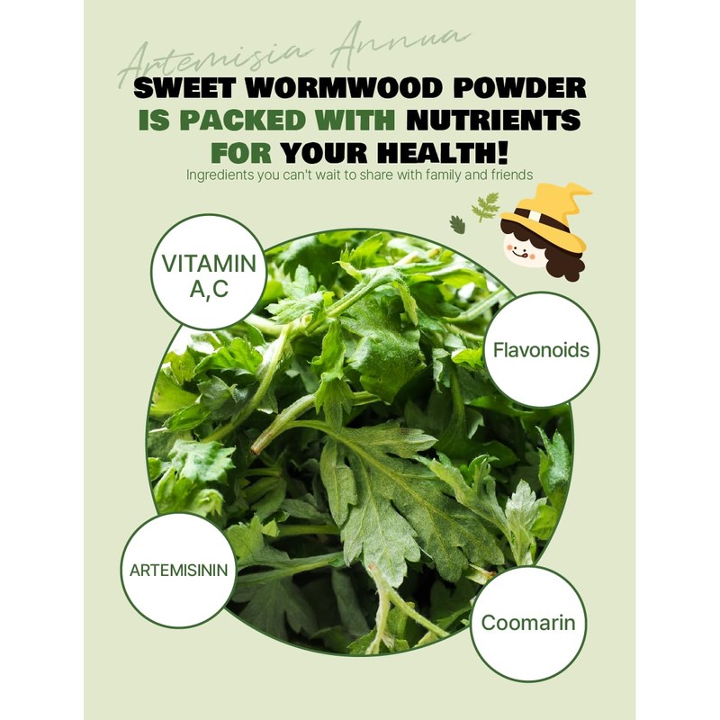 NICE WITCH'S Korean 100% Pure Sweet Wormwood Powder 170g /