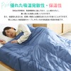Showa Nishikawa Down Comforter Set of 2, For Spring, Summer,