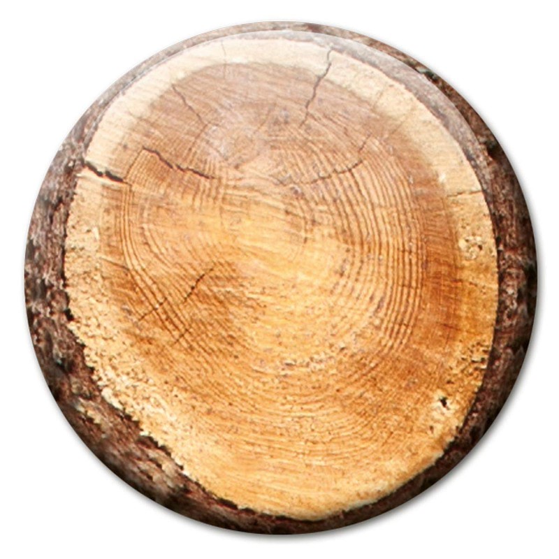 Fridge Magnets Tree Trunk Discs Gift Set of 4 Vintage