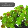 kathson Reptile Plant Succulent,Artificial Plants Aquarium &Terrarium Accessories for Bearded