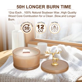 HANDZEE Premium Scented Candles, Home Decor Warming Gifts, Candles Glass Jar Decorative, Candle Gifts Ideal for Creating Relaxing Ambience, Holiday Birthday Gift for Women Men Friend (Baltic Amber)