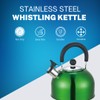 Premium Stainless Steel Whistling Kettle | 10 Colors | Stove