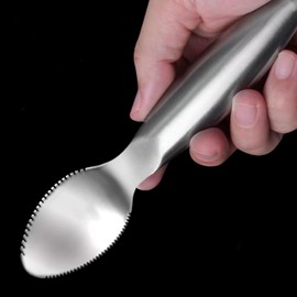Stainless Steel Grapefruit Spoons with Serrated Edge