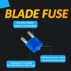 Micro 2 Car Blade Fuses Assortment Kit – Micro2 Fuses