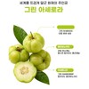 그린 아세로라 추출 분말 비타민c 100%, 100g, 6개 Green Acerola