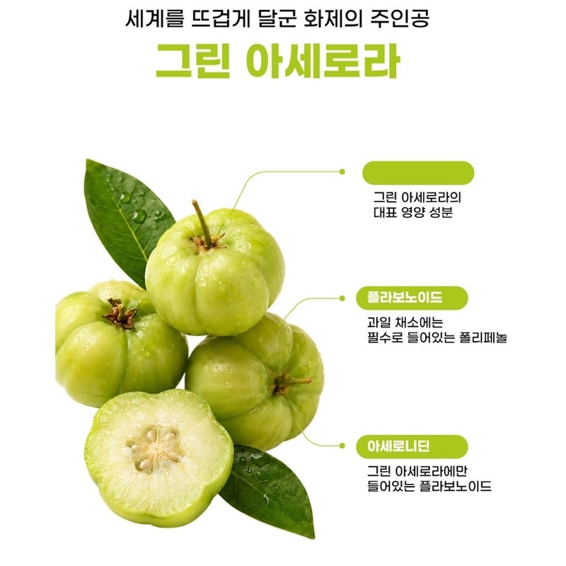 그린 아세로라 추출 분말 비타민c 100%, 100g, 6개 Green Acerola