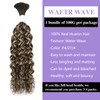 Liqusee Water Wave Curly #4/27 Human Braiding Hair 100g One