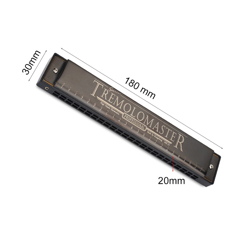 24 Holes 12 Tone C Key Harmonica Mouth Organ Musical
