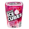 The Hershey Company Ice Breakers Ice Cubes Raspberry Sorbet Gum