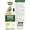 Pine buds organic/Tincture/extract / 50 ml / 1.67 fl oz