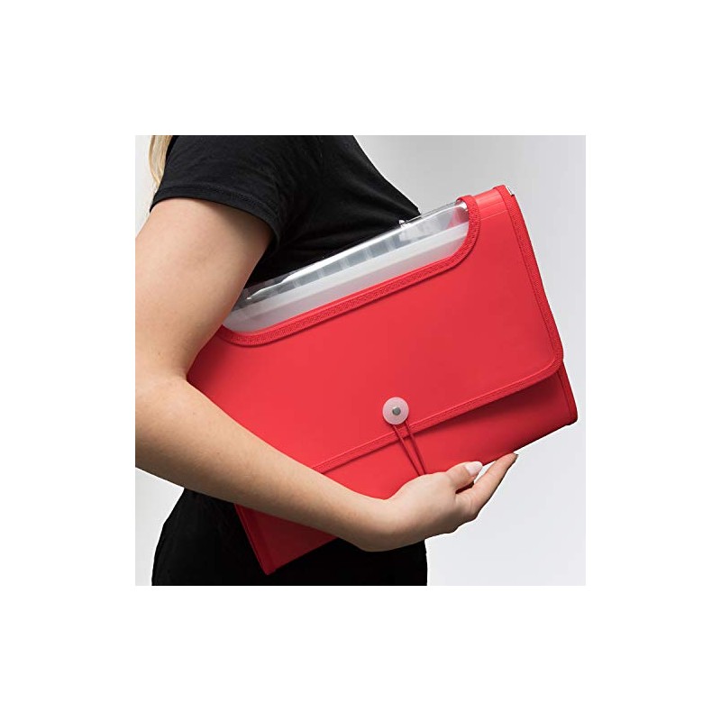 D.RECT 5590 - A4 12-Pocket Expandable Folder | Expandable Binder