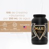 Creatina Glutamina Maxi Protein 1 Kg 50 Servicios Sabor Mango