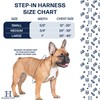 Hamilton Adjustable No Pull Step in Dog Harness, Small 5/8"