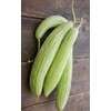 CEMEHA SEEDS - Cucumber Armenian Giant Open-Pollinated Pickling Non GMO