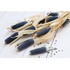 Blue Hopi Corn Seeds - Non-GMO