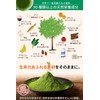 Moringa Powder, 100% Moringa Powder, Additive-Free, Super Food, 0.07 oz