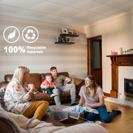 2ft x 2ft Printed Pro Ceiling Tiles - PVC Ceiling Panel 24 x 24in – Waterproof, Washable and Fire-Rated - High-Grade PVC to Prevent Breakage-Package of 12 Tiles