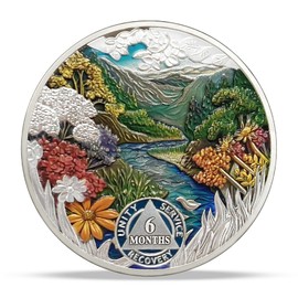 6 Month Sobriety Coin Gifts | Four Seasons Summer AA Coins - HA AA Chip Medallion with Serenity Prayer | Narcotics Alcoholics Anonymous Gifts for Anniversary Month & Year for Men & Women in Recovery