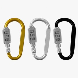 lock password carabiner