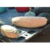 FRONTIER SEED CO USA FANTASTIC FLAVOR Pink Banana Winter Squash