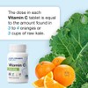 Puregen Labs Vitamin C 250 MG -Total 400 Tablets Supports