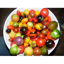 Pack of 100 Seeds From a Mix of 50 DIFFERENT KINDS of Cherry Tomatoes!