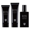 Dandy House Set "All-in-One Gel, Cleansing Foam A, Skin Care