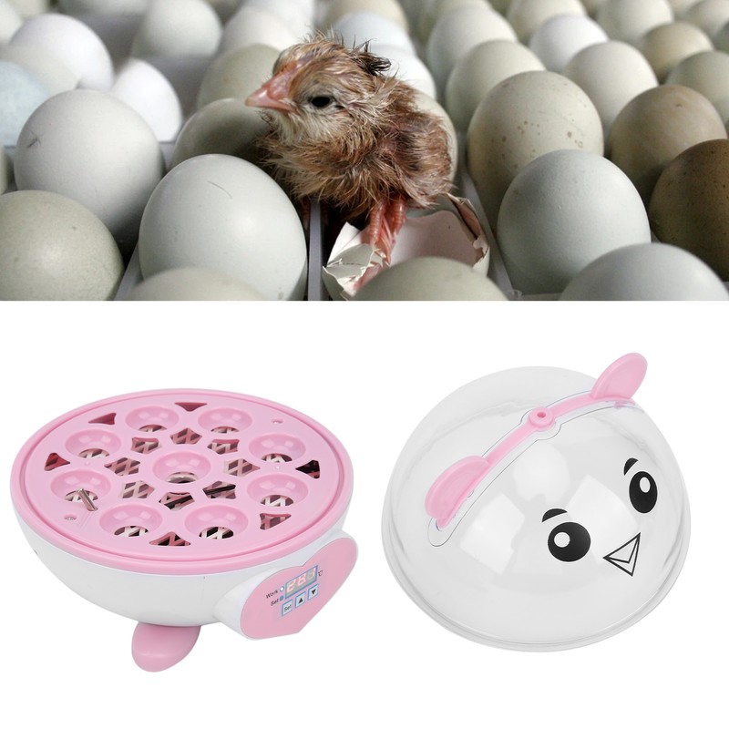 SemiAutomatic Incubator Household Small 9 Eggs Incubator for Chicken Duck