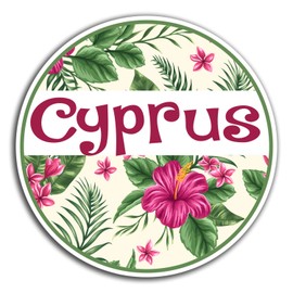 2 x 10cm Cyprus Vinyl Stickers - Travel Holiday Sticker Laptop Luggage #32792 (10cm Wide)
