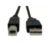 PPA Int'l 6ft USB 2.0 A Male to B Male