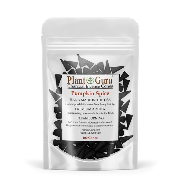 Pumpkin Spice Charcoal Incense Cones 1" TOPFLOW - 100 Pack