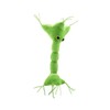 GIANTmicrobes Nerve Cell Plush – Learn About Your Nervous System