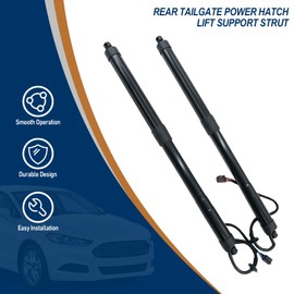 Torquizo 817702W600 Rear Left Right Tailgate Power Lift Support 2PCS Compatible with Hyundai Santa Fe Sport 2.0L 2.4L 2015-2018