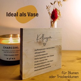Kollegin Geschenk - Synonyme Kollegin Holzbild + Reagenzglas zum Hinstellen opt. als Vase oder Geldgeschenk - Geschenk Aufmerksamkeit, Abschiedsgeschenk Kollegin, beste Kollegin der Welt