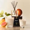 NEST New York Reed Diffuser Liquid Refill Bundle, Grapefruit -