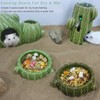 hilishu Hamster Food Bowl, 2 Packs Cactus Food & Water