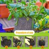 Sgphrzlt 4 Pack 3 Gallon Stainless Steel Plant Root Gopher