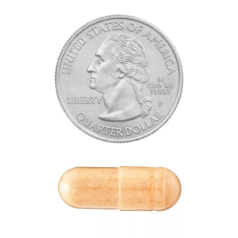 Spring Valley Green Tea Extract Vegetarian Capsules, 500 mg, 60