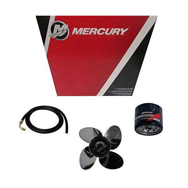 MERCURY INLET NEEDLE